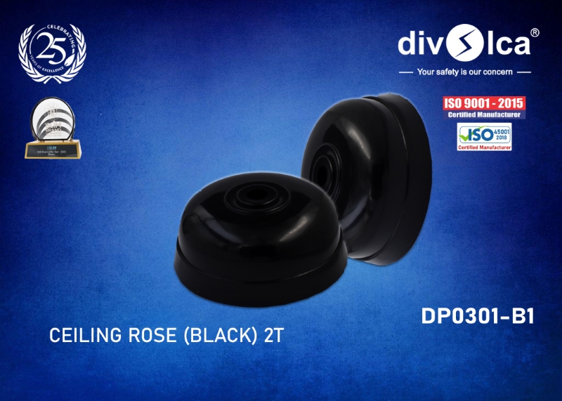 CEILING ROSE SMALL BLACK - 2T
